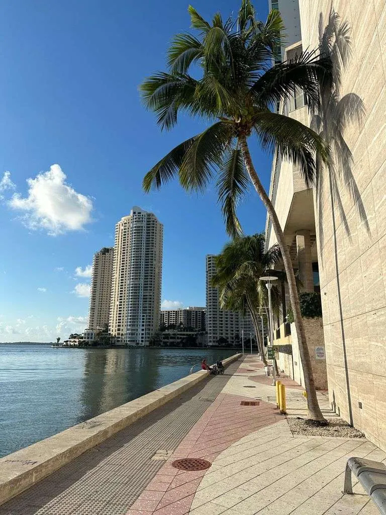 A serene urban waterfront promenade lined with palm trees and high-rise buildings under a clear blue sky.